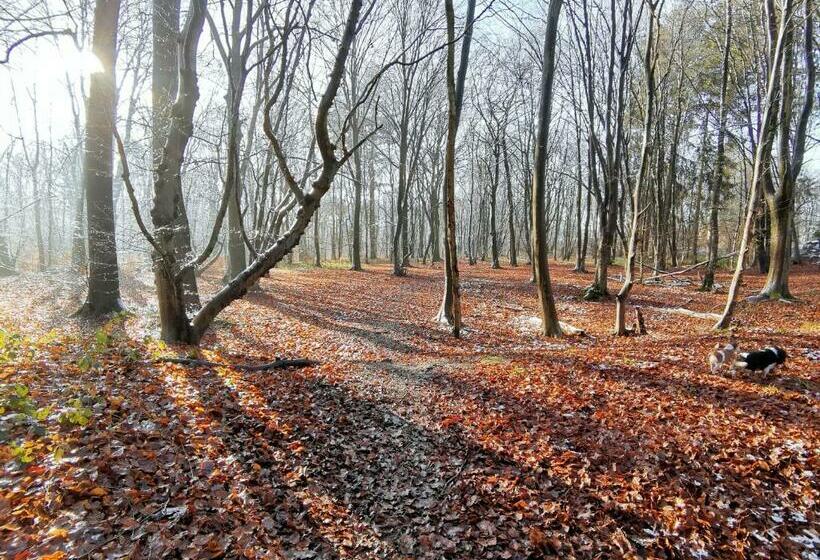 住宿加早餐  Les Sittelles   Tilff