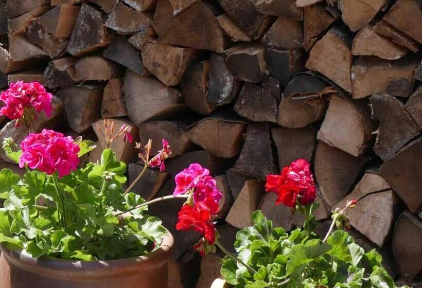 مبيت وإفطار The Potting Shed, Self Contained, Detached Retreat In Shapwick Village