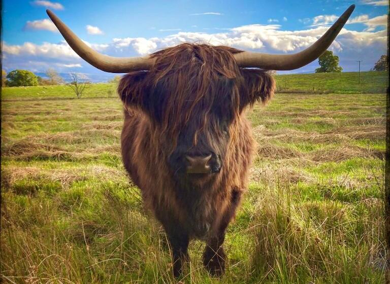 مبيت وإفطار Trossachs Barn & Cabin