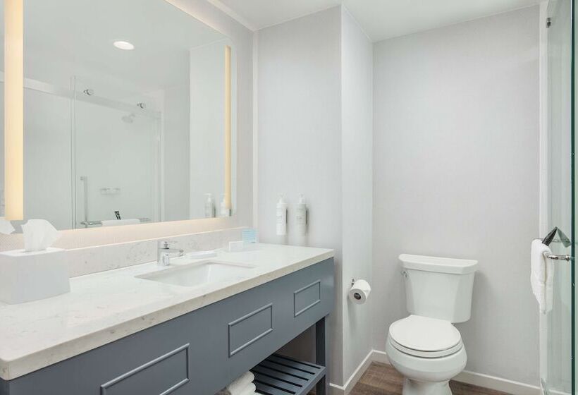 هتل Hampton Inn & Suites Huntsville Downtown