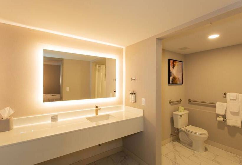 酒店 Holiday Inn Express   New Rochelle, An Ihg