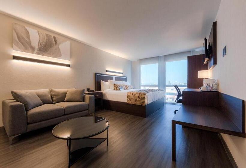 בית מלון כפרי Sleep Inn Guadalajara Galerias