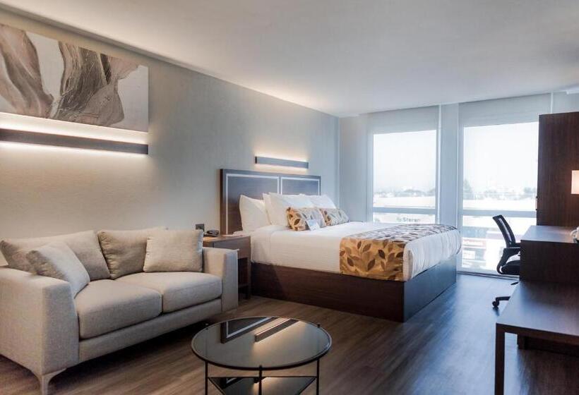 בית מלון כפרי Sleep Inn Guadalajara Galerias