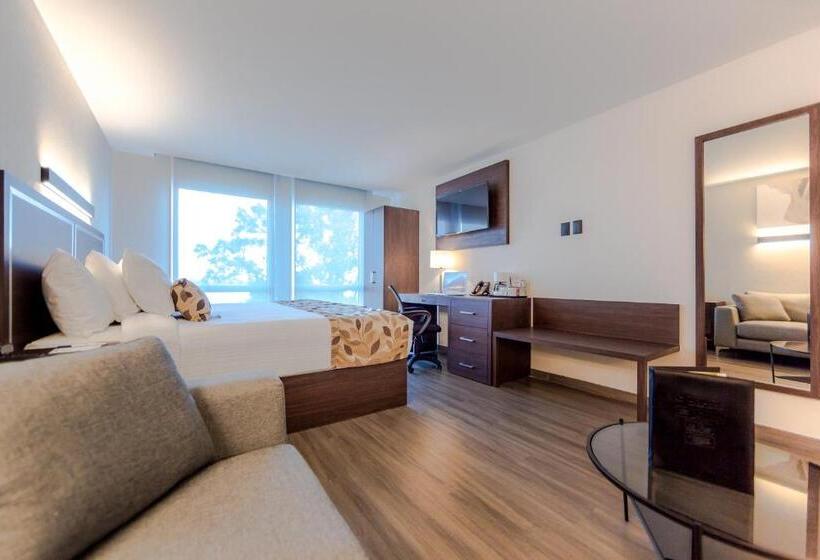 בית מלון כפרי Sleep Inn Guadalajara Galerias