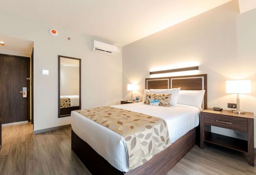 בית מלון כפרי Sleep Inn Guadalajara Galerias