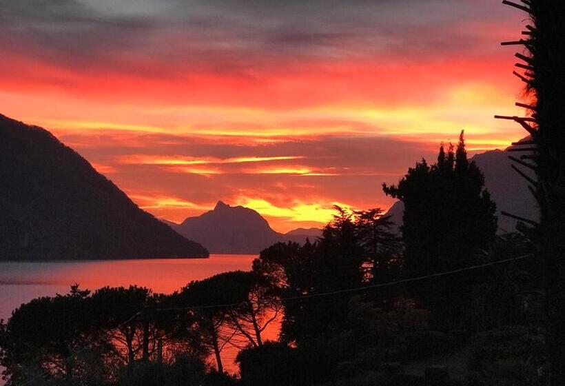 بنسيون Room With A View