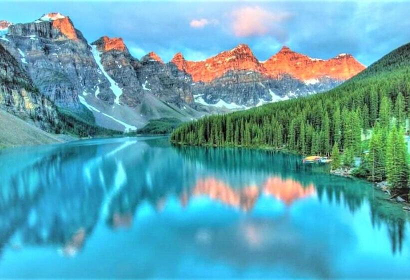 بنسيون The Plush Suite