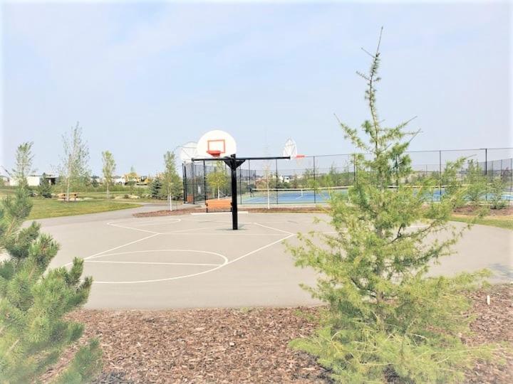 بنسيون The Plush Suite