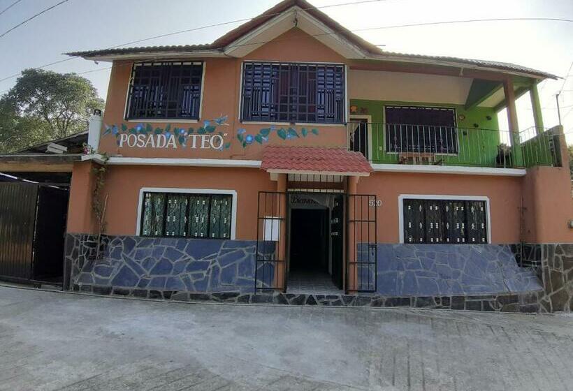 Posada Teo