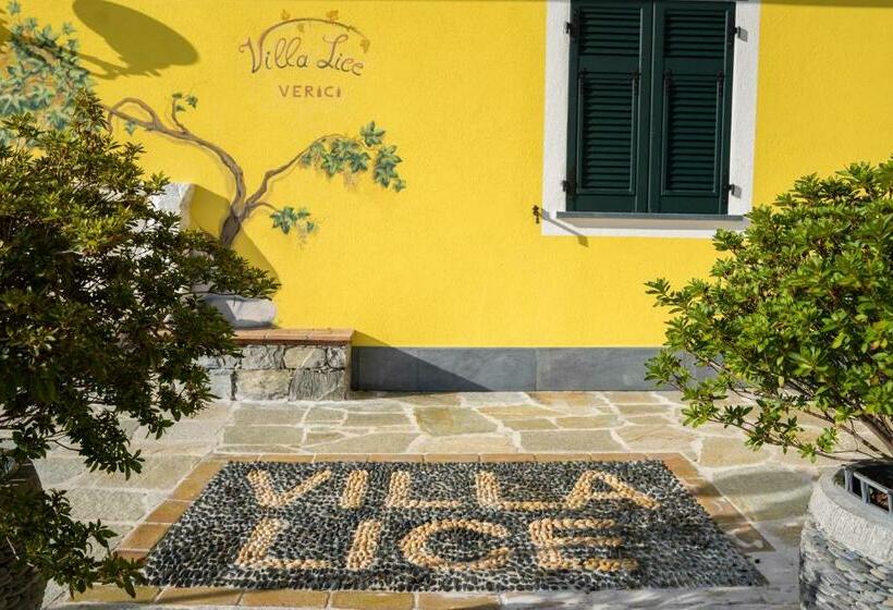 Villa Lice Verici