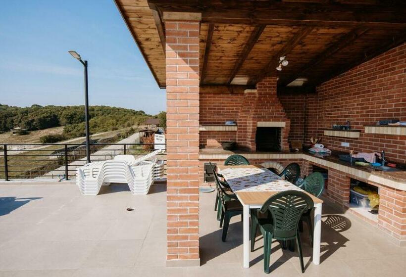 Общежитие Suzanne Băile Figa  Camere Tip