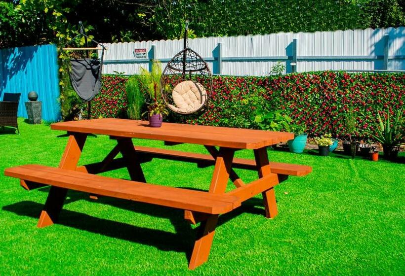 فندق صغير Art Graffiti