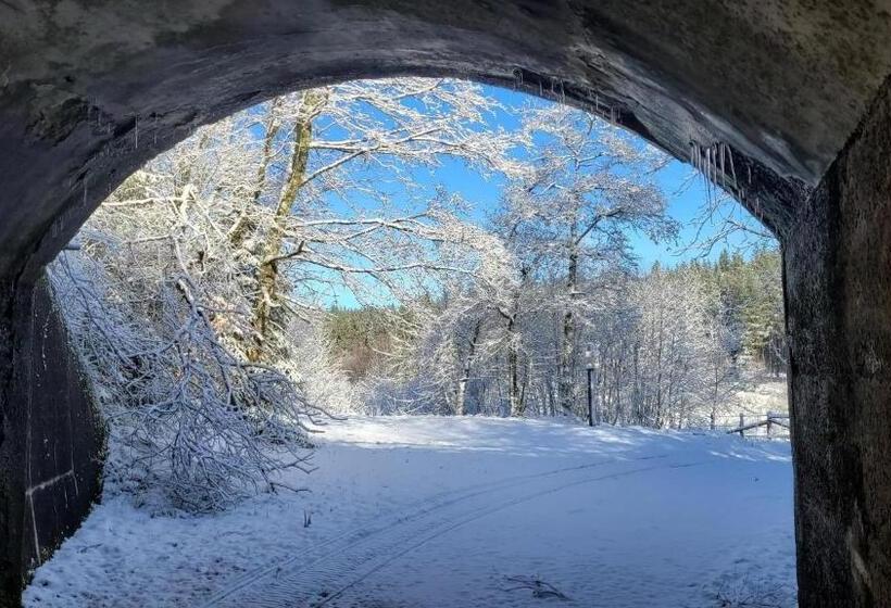 B&b Ferienhof Ab Wellness Suite