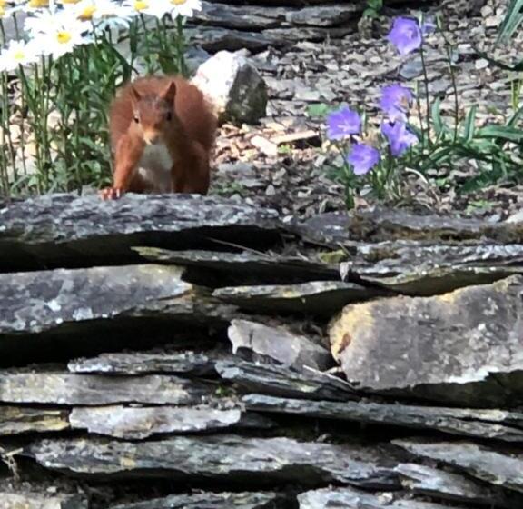 B&b Le Nid D Hirondelle