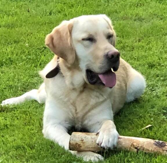 B&b Le Nid D Hirondelle