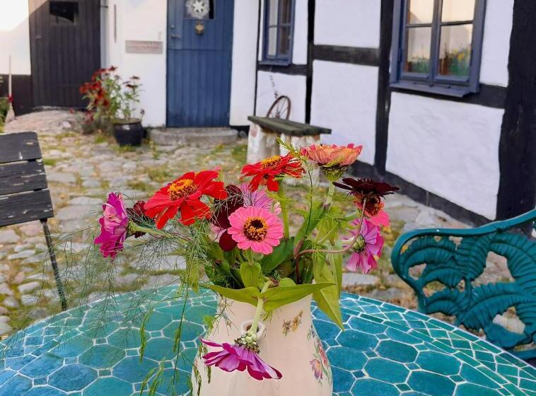 مبيت وإفطار Brösarp Källagården Vindsvåning 2 Rum Och Kök