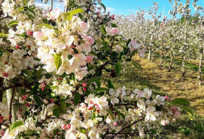 مبيت وإفطار Brösarp Källagården Vindsvåning 2 Rum Och Kök