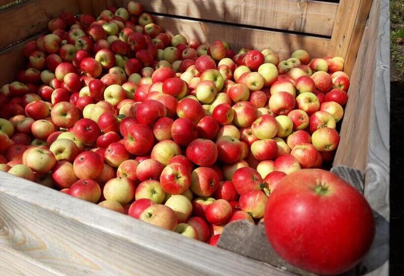 مبيت وإفطار Brösarp Källagården Vindsvåning 2 Rum Och Kök