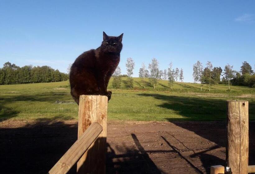 مبيت وإفطار Brösarp Källagården Vindsvåning 2 Rum Och Kök