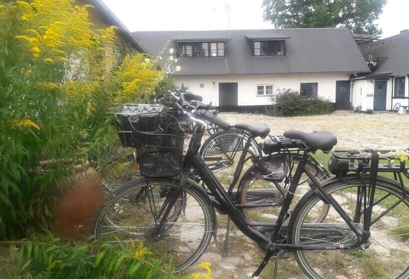 مبيت وإفطار Brösarp Källagården Vindsvåning 2 Rum Och Kök