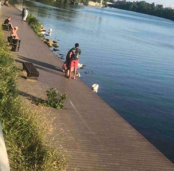 Bed and Breakfast Cosy Appartement 20 Minutes For Eiffel Tower