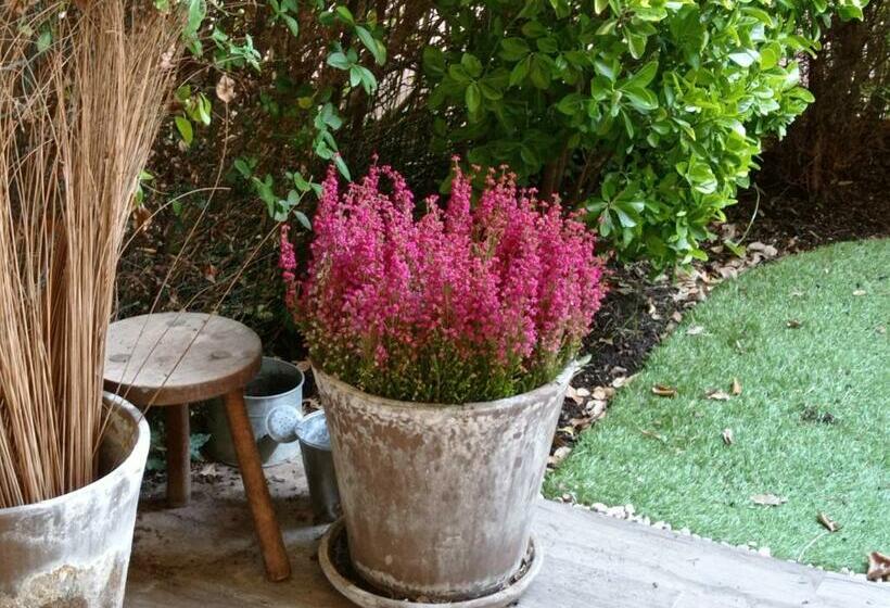 Homestay B&b La Bruyere Chez L Habitant