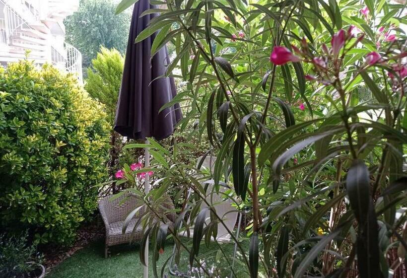 Homestay B&b La Bruyere Chez L Habitant