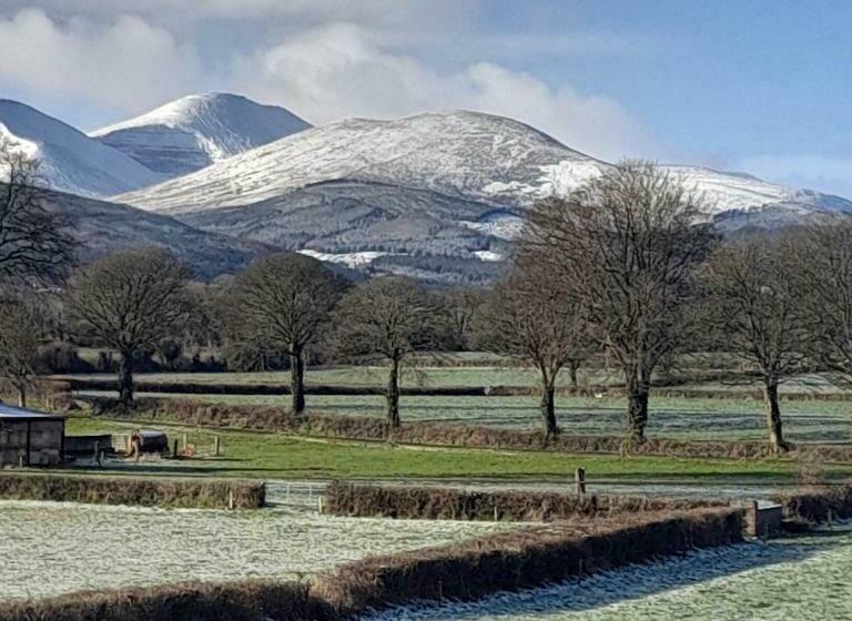 住宿加早餐  Shadowvale E34x773