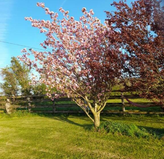 住宿加早餐  Shadowvale E34x773