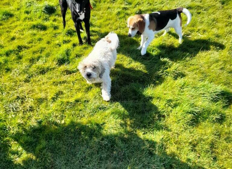 住宿加早餐  Shadowvale E34x773