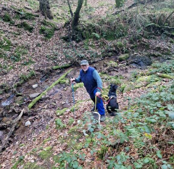 住宿加早餐  Shadowvale E34x773