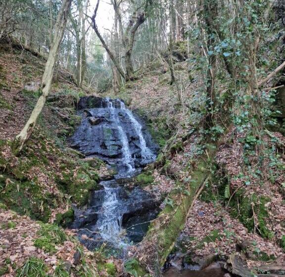 住宿加早餐  Shadowvale E34x773