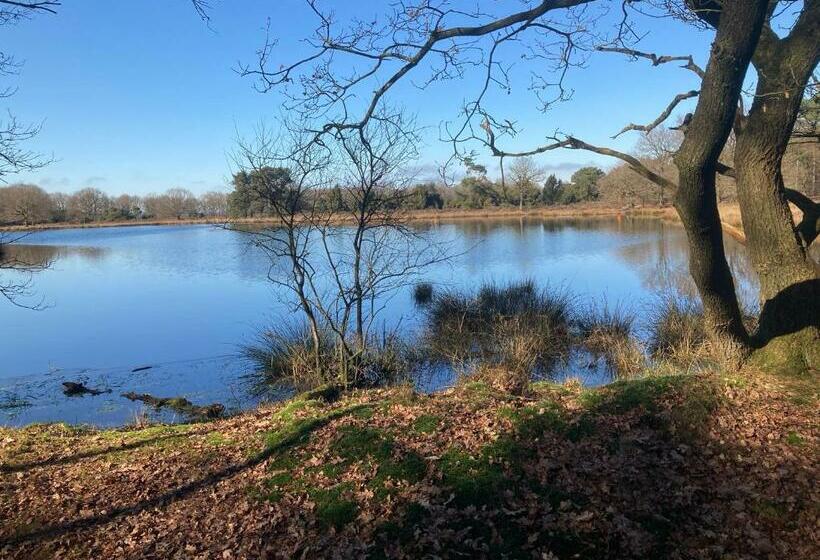 Bed & Breakfast Beilerhorst