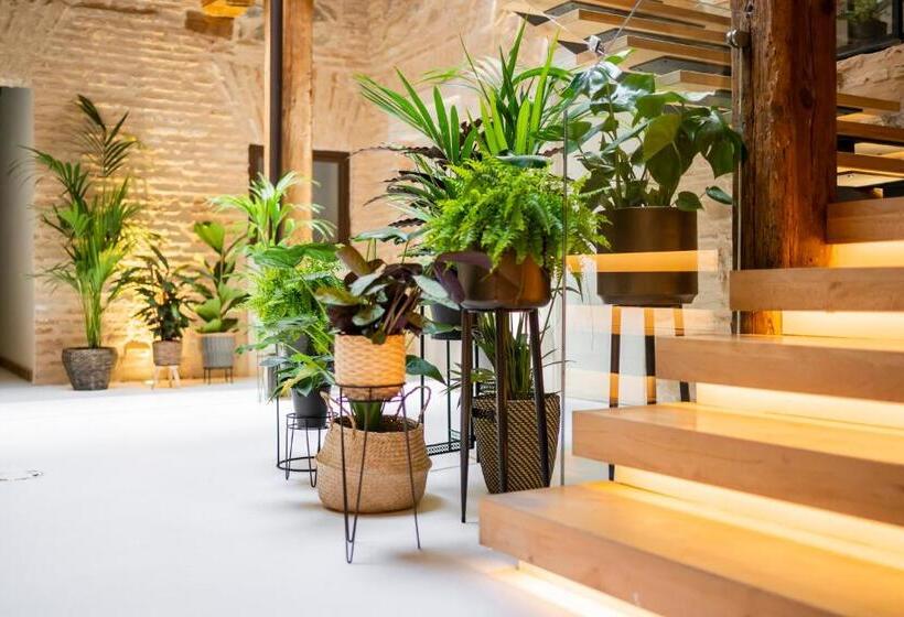 Dobo Azacanes Hostal