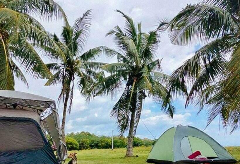 Отель Coco Seaview Beach House