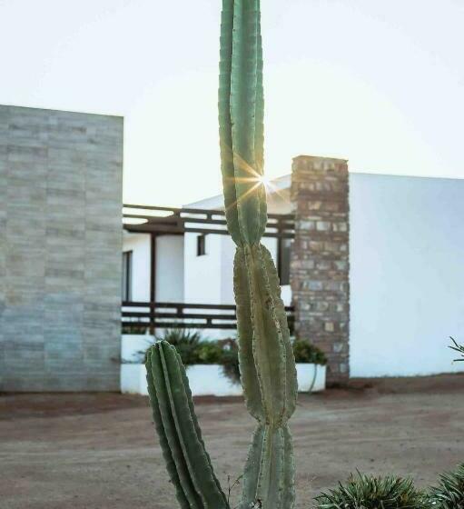 Collins Village Hotel Boutique