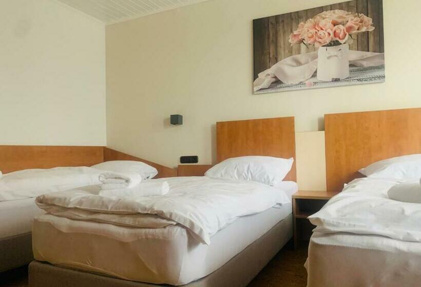 酒店 Gold´ne Krone