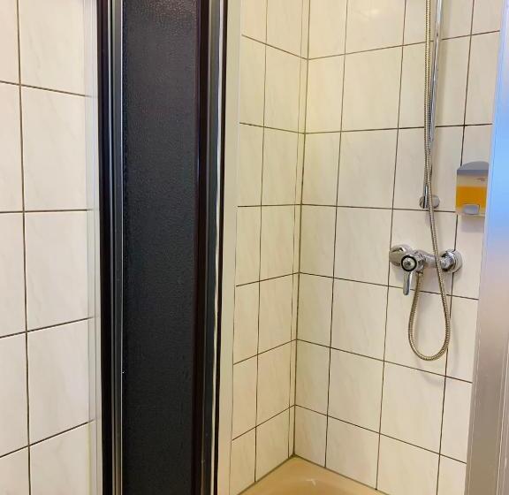 酒店 Gold´ne Krone