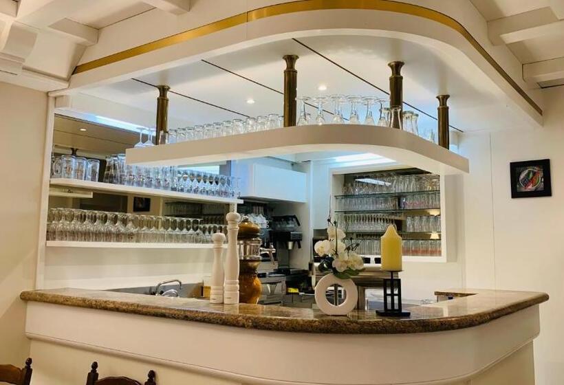 酒店 Gold´ne Krone