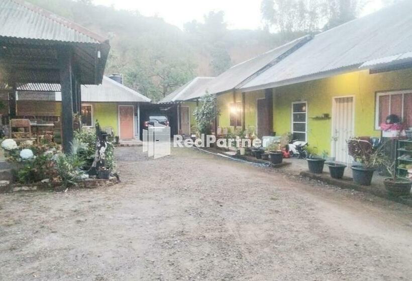 בית מלון כפרי Paer Doe Homestay @ Sembalun Redpartner