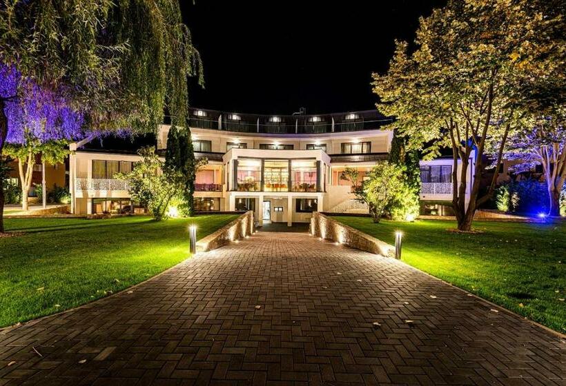 酒店 Stein Collection