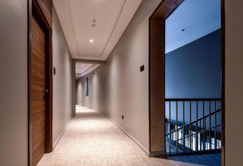 酒店 Stein Collection