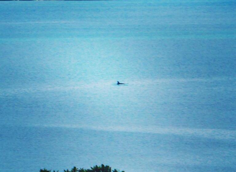 پانسیون Elements Of Castor Bay