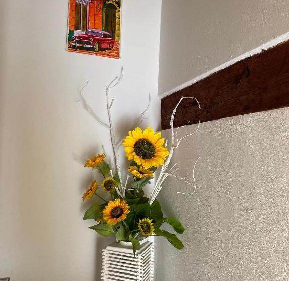 ペンション Laguna Blu Camera Tramonto Con Terrazza Panoramica In Comune