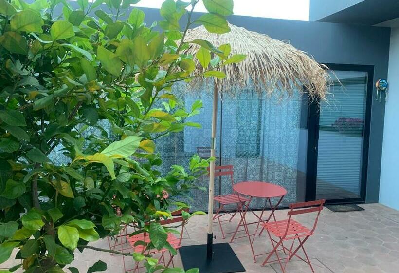 פנסיון Lumia N  Ciuri