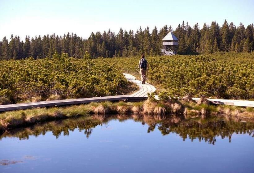 پانسیون Rooms S Center