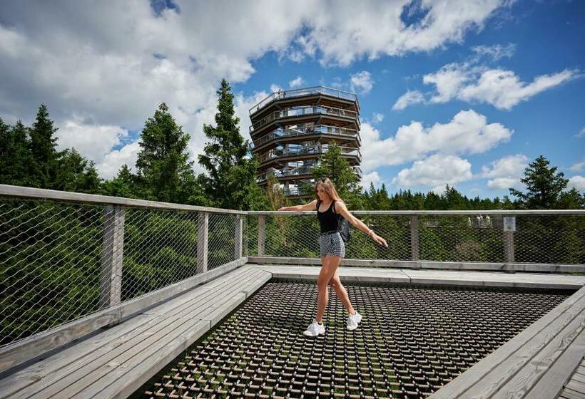 پانسیون Rooms S Center