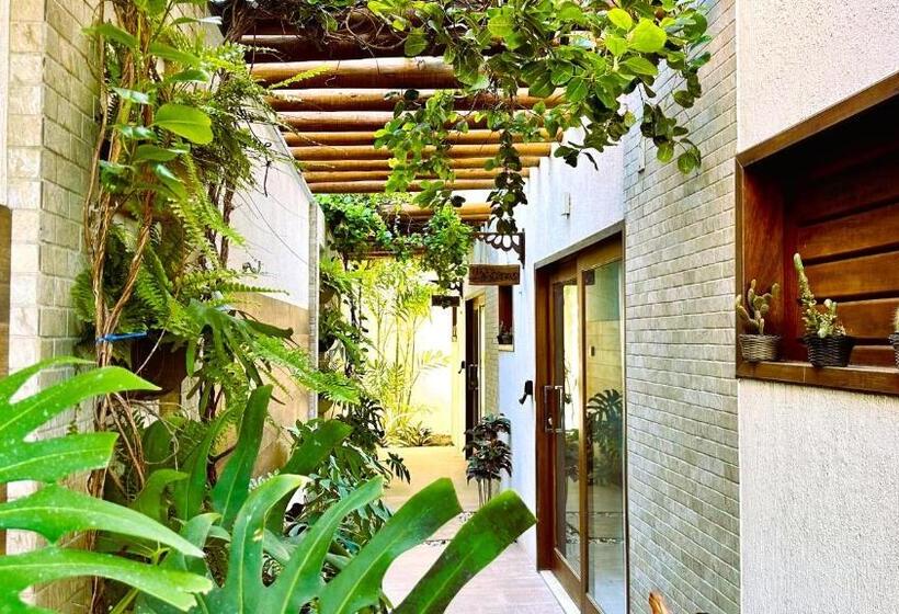 פנסיון Suítes Jardins De Flecheiras