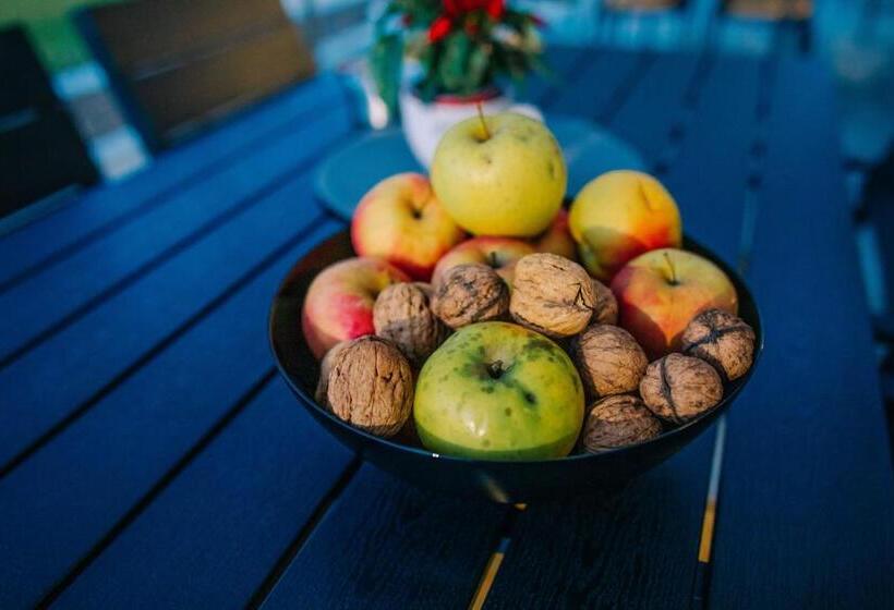 펜션 The Butterfly