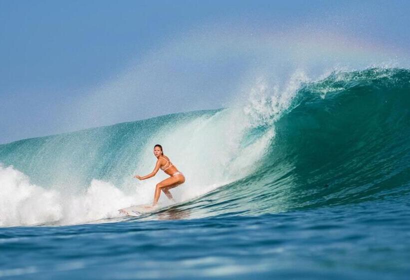 منتجع Cabana Surf And Stay